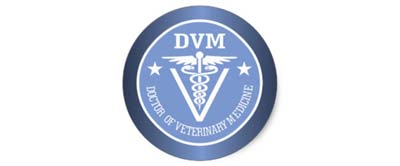 dvm