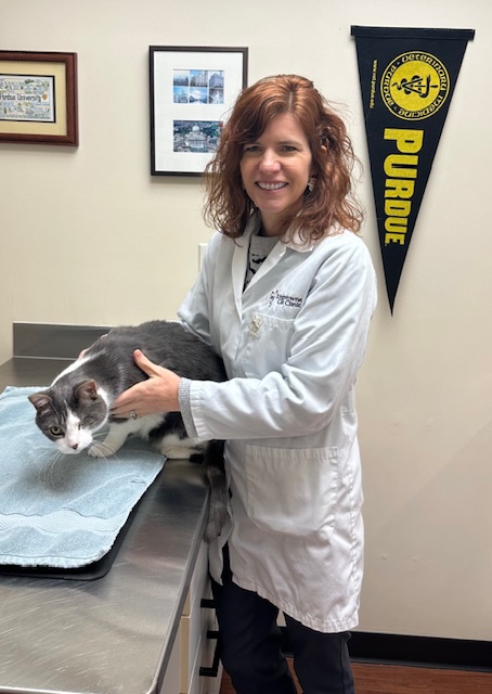 Cat Clinic